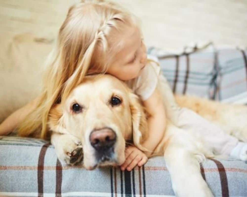 بچوں کے لئے کتے کی بہترین نسلیں